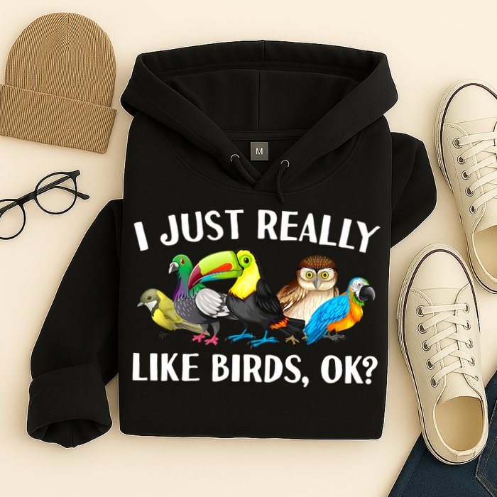 Cool Bird Lover Bird Watcher Nerd Parrot Birds Hoodie