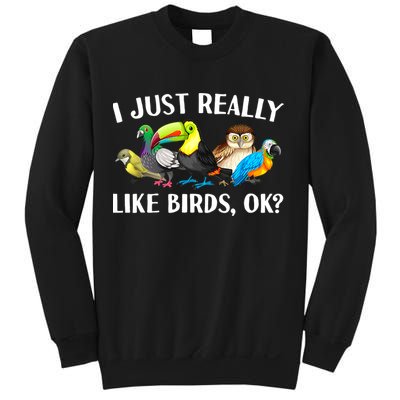 Cool Bird Lover Bird Watcher Nerd Parrot Birds Sweatshirt