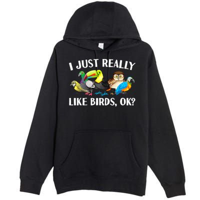 Cool Bird Lover Bird Watcher Nerd Parrot Birds Premium Pullover Hoodie
