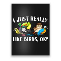 Cool Bird Lover Bird Watcher Nerd Parrot Birds Poster