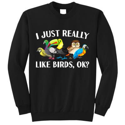 Cool Bird Lover Bird Watcher Nerd Parrot Birds Tall Sweatshirt