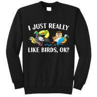 Cool Bird Lover Bird Watcher Nerd Parrot Birds Tall Sweatshirt