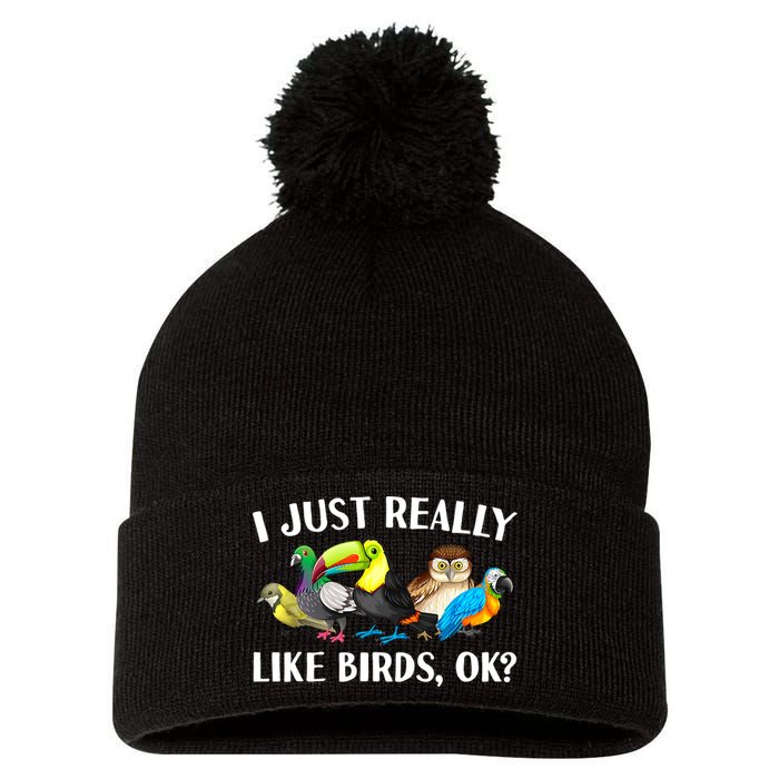 Cool Bird Lover Bird Watcher Nerd Parrot Birds Pom Pom 12in Knit Beanie