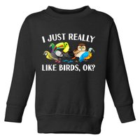 Cool Bird Lover Bird Watcher Nerd Parrot Birds Toddler Sweatshirt