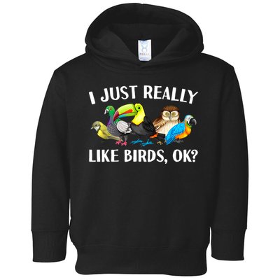 Cool Bird Lover Bird Watcher Nerd Parrot Birds Toddler Hoodie