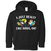 Cool Bird Lover Bird Watcher Nerd Parrot Birds Toddler Hoodie