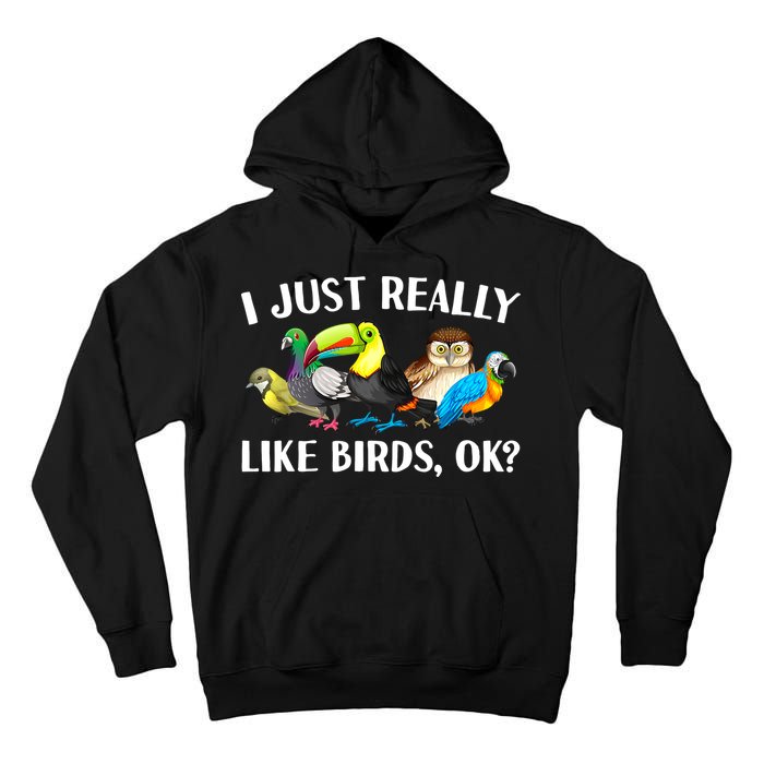 Cool Bird Lover Bird Watcher Nerd Parrot Birds Tall Hoodie