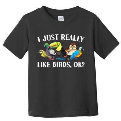 Cool Bird Lover Bird Watcher Nerd Parrot Birds Toddler T-Shirt