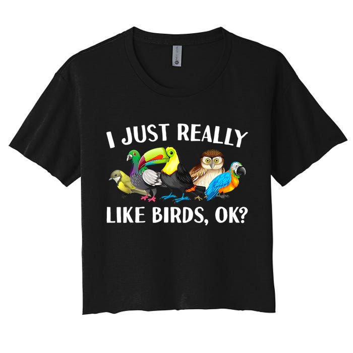 Cool Bird Lover Bird Watcher Nerd Parrot Birds Crop Top