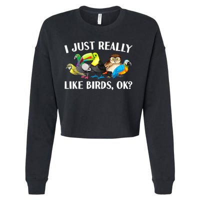 Cool Bird Lover Bird Watcher Nerd Parrot Birds Cropped Pullover Crew