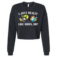Cool Bird Lover Bird Watcher Nerd Parrot Birds Cropped Pullover Crew