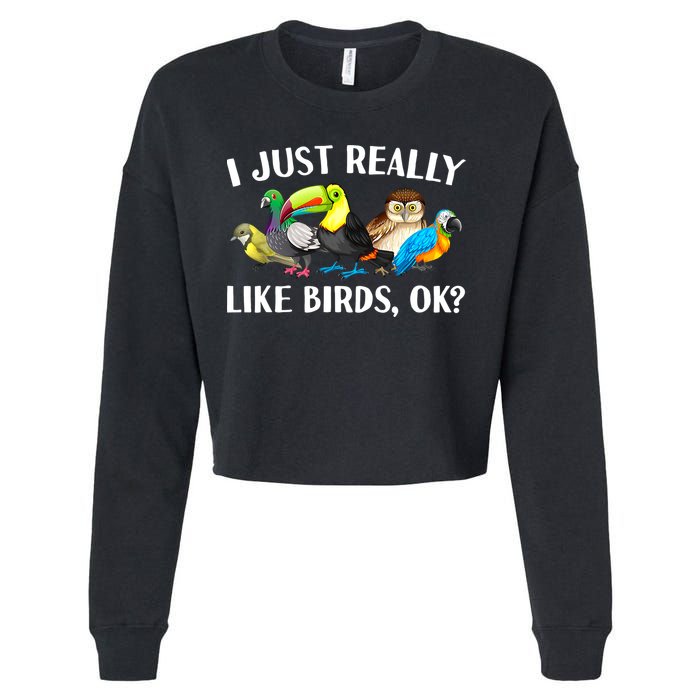 Cool Bird Lover Bird Watcher Nerd Parrot Birds Cropped Pullover Crew