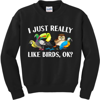 Cool Bird Lover Bird Watcher Nerd Parrot Birds Kids Sweatshirt