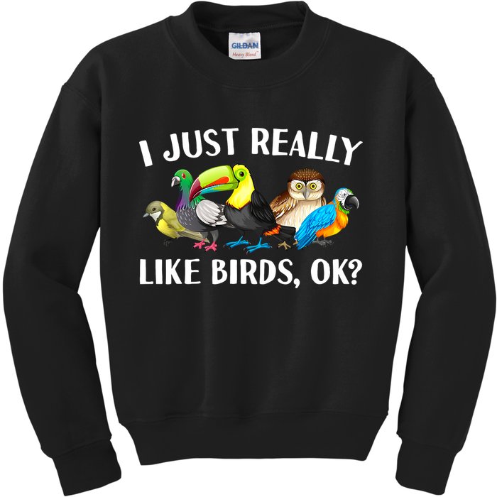 Cool Bird Lover Bird Watcher Nerd Parrot Birds Kids Sweatshirt