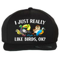 Cool Bird Lover Bird Watcher Nerd Parrot Birds Wool Snapback Cap