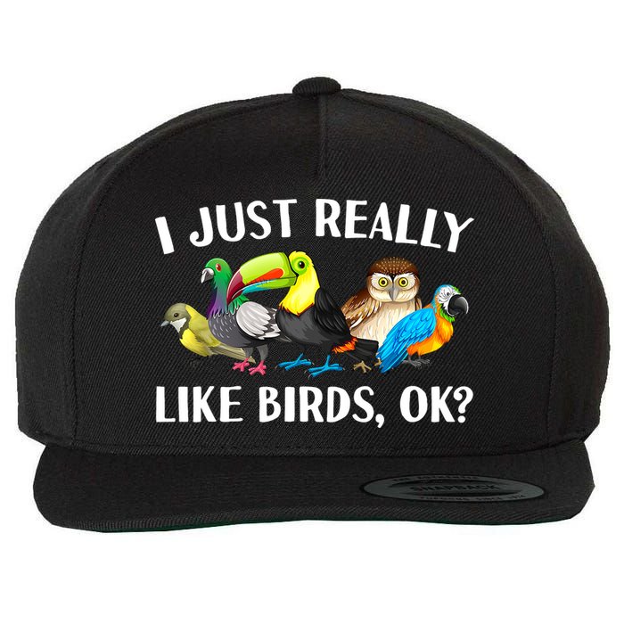 Cool Bird Lover Bird Watcher Nerd Parrot Birds Wool Snapback Cap