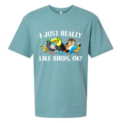 Cool Bird Lover Bird Watcher Nerd Parrot Birds Sueded Cloud Jersey T-Shirt