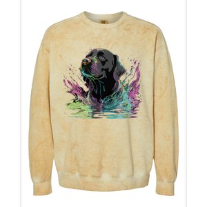 Cute Black Lab Black Labrador Retriever Puppy Dog Mom Animal Colorblast Crewneck Sweatshirt