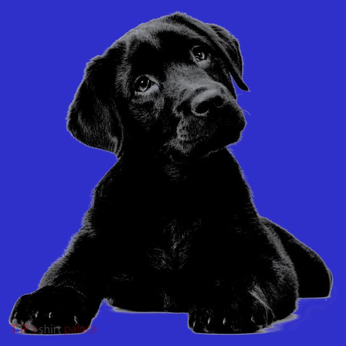 Cute Black Lab Puppy Dog Animal Lover Gift Tall T-Shirt