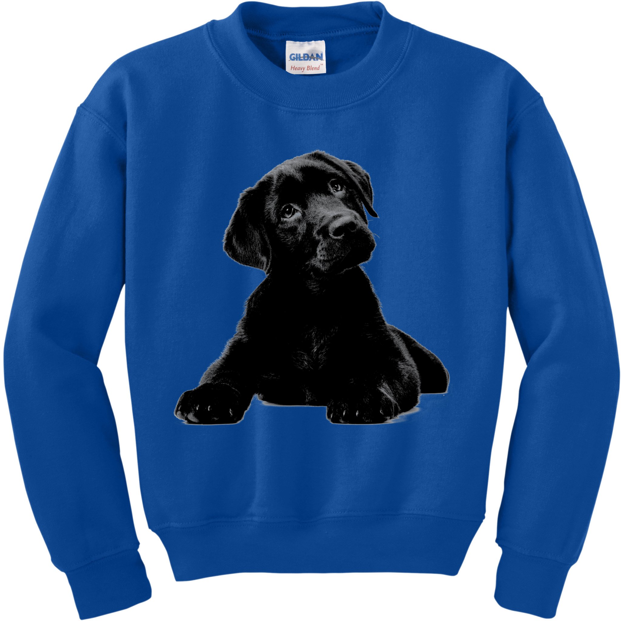 Cute Black Lab Puppy Dog Animal Lover Gift Kids Sweatshirt