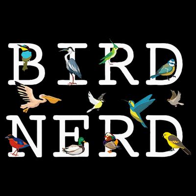 Cool Bird Lover Birdwatching Present Birdwatcher Birder Gift T-Shirt