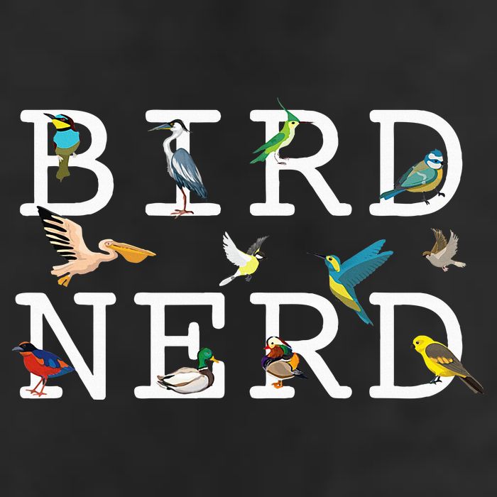 Cool Bird Lover Birdwatching Present Birdwatcher Birder Gift 11oz C Handle Ceramic Mug