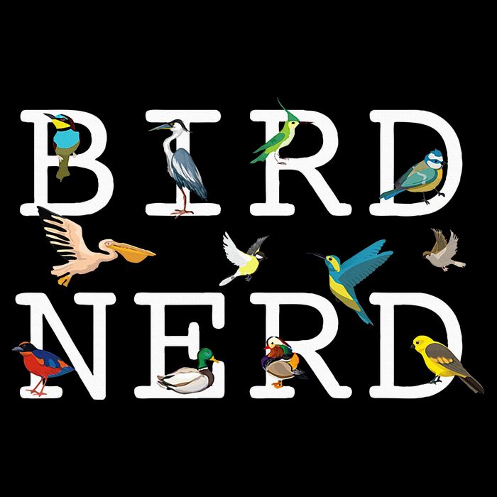 Cool Bird Lover Birdwatching Present Birdwatcher Birder Gift Womens Tank Top