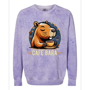 Café Bara Logo Coffee Bar Cafebara Barista Capybara Funny Colorblast Crewneck Sweatshirt