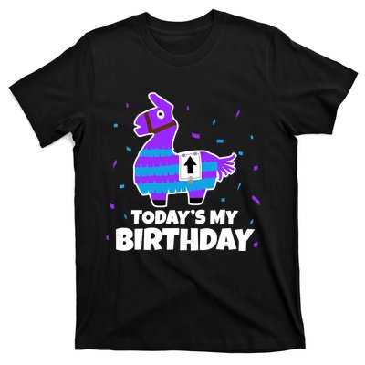 Cute Birthday Llama Funny Bday Animal Party T-Shirt