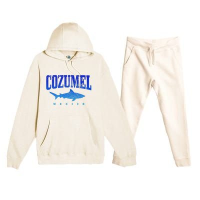 Cozumel Beach Mexico Scuba Diver Shark Diving Vintage Premium Hooded Sweatsuit Set