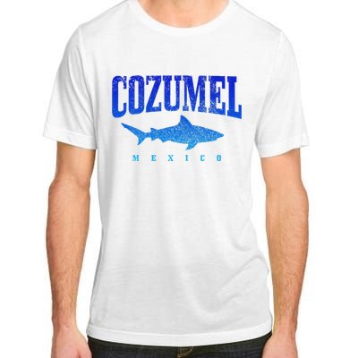 Cozumel Beach Mexico Scuba Diver Shark Diving Vintage Adult ChromaSoft Performance T-Shirt