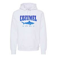 Cozumel Beach Mexico Scuba Diver Shark Diving Vintage Premium Hoodie