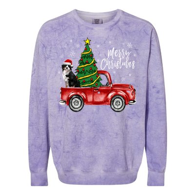 Cute Bernese Mountain Dog Truck Merry Christmas Dog Lover Gift Colorblast Crewneck Sweatshirt