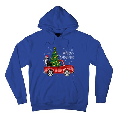 Cute Bernese Mountain Dog Truck Merry Christmas Dog Lover Gift Hoodie