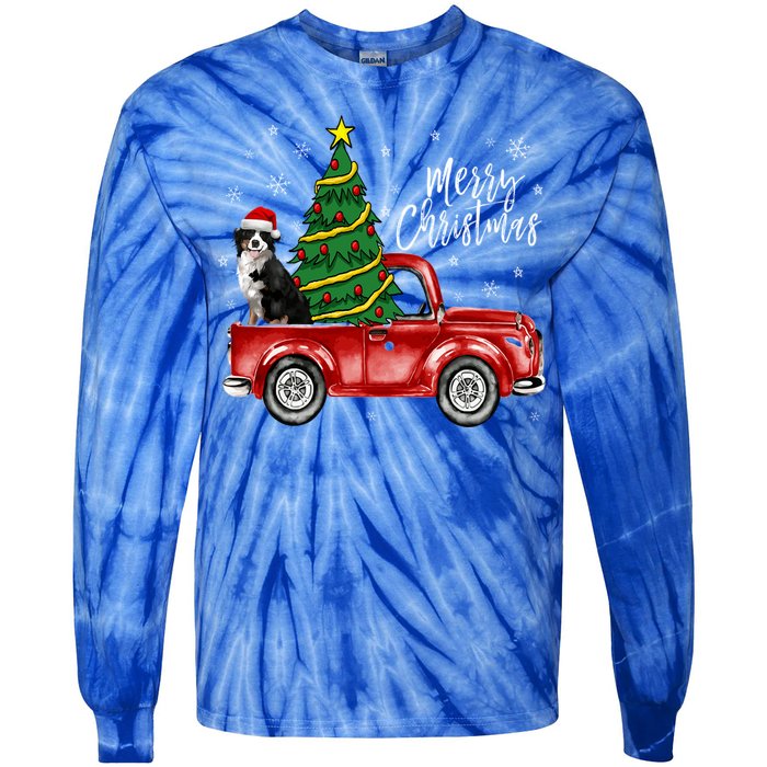 Cute Bernese Mountain Dog Truck Merry Christmas Dog Lover Gift Tie-Dye Long Sleeve Shirt