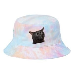 Cat Black Meme Dissociated Funny Internet Gift Tie Dye Newport Bucket Hat