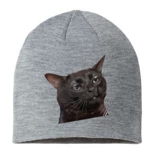 Cat Black Meme Dissociated Funny Internet Gift Sustainable Beanie