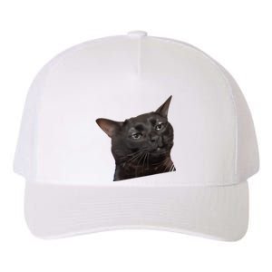 Cat Black Meme Dissociated Funny Internet Gift Yupoong Adult 5-Panel Trucker Hat