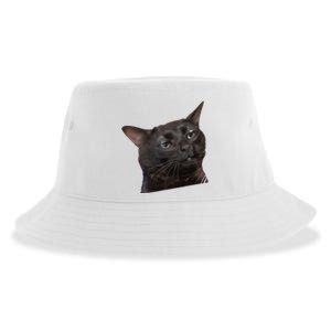 Cat Black Meme Dissociated Funny Internet Gift Sustainable Bucket Hat