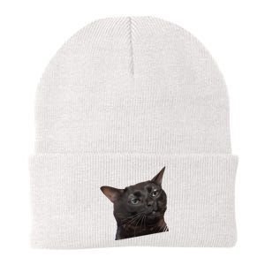 Cat Black Meme Dissociated Funny Internet Gift Knit Cap Winter Beanie