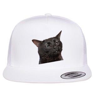 Cat Black Meme Dissociated Funny Internet Gift Flat Bill Trucker Hat