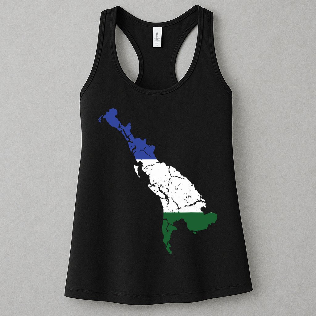 Cascadia Bioregion Map Flag Independence Distressed Womens Tank Top