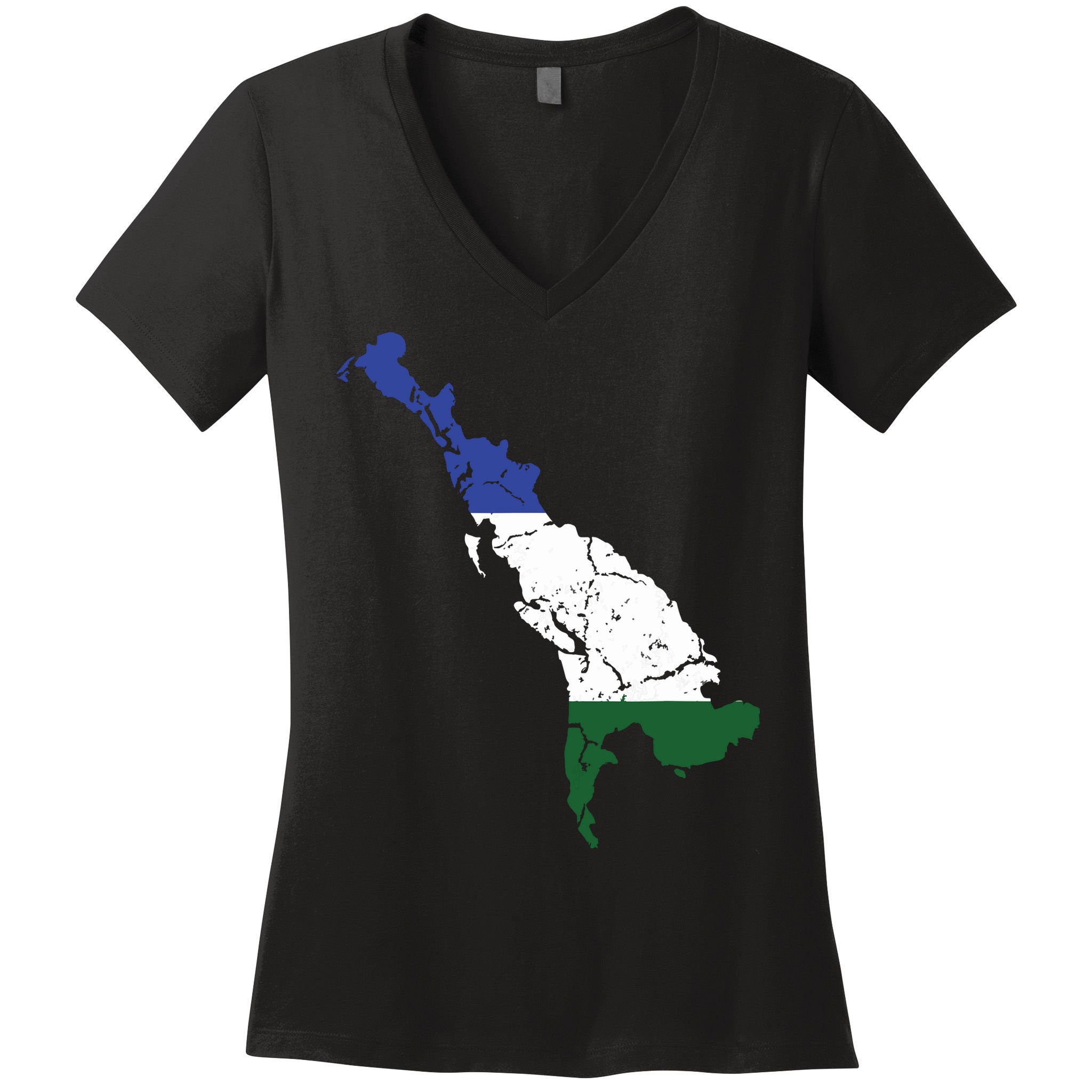 Cascadia Bioregion Map Flag Independence Distressed Women's V-Neck T-Shirt