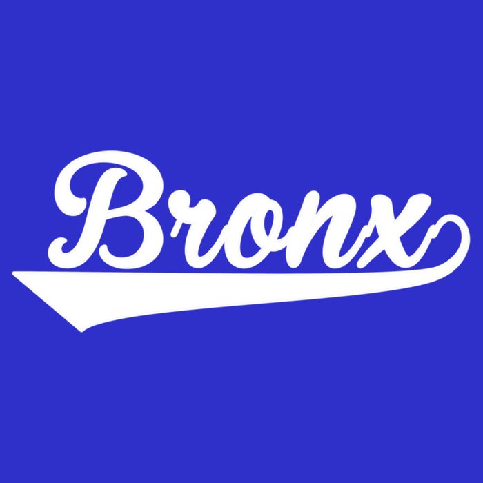 Classic Bronx New York Gift Bag