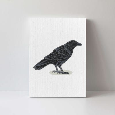 Crow Bird O White Surface Canvas