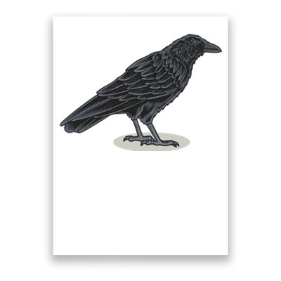 Crow Bird O White Surface Poster