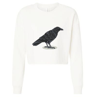 Crow Bird O White Surface Cropped Pullover Crew