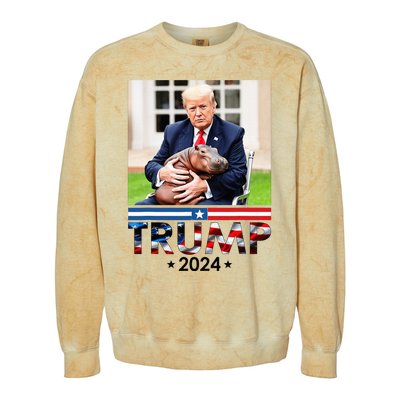 Cute Baby Pygmy Hippo Moo Deng Pets For Trump 2024 Colorblast Crewneck Sweatshirt