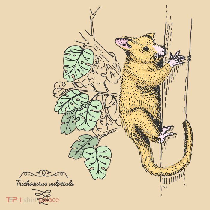 Common Brushtail Possum Trichosurus Vulpecula Engraved Drawstring Bag