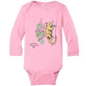 Common Brushtail Possum Trichosurus Vulpecula Engraved Baby Long Sleeve Bodysuit